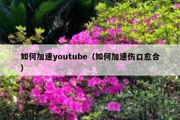 如何加速youtube（如何加速伤口愈合） 第1张