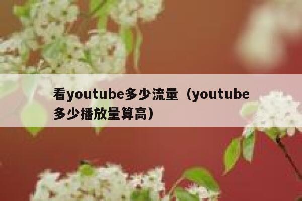 看youtube多少流量(youtube多少播放量算高) 第1张 看youtube多少流量(youtube多少播放量算高) 第1张