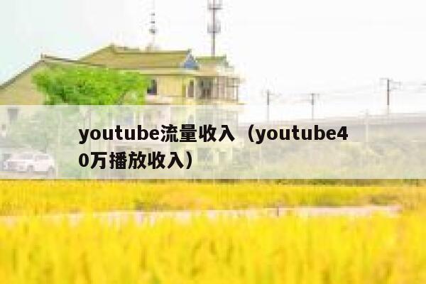 youtube流量收入（youtube40万播放收入） 第1张