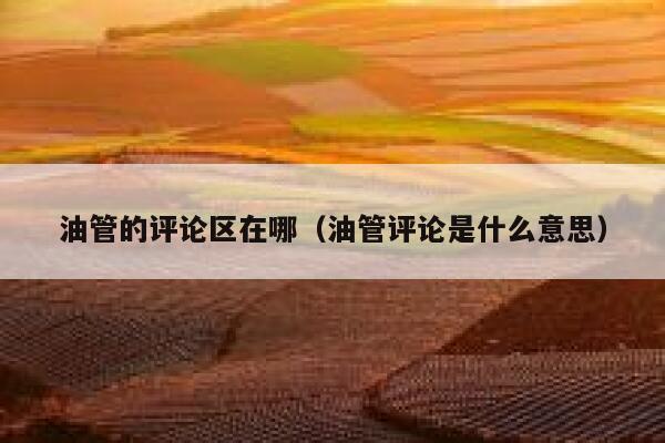 油管的评论区在哪(油管评论是什么意思) 第1张 油管的评论区在哪(油管评论是什么意思) 第1张