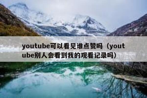 youtube可以看见谁点赞吗（youtube别人会看到我的观看记录吗） 第1张