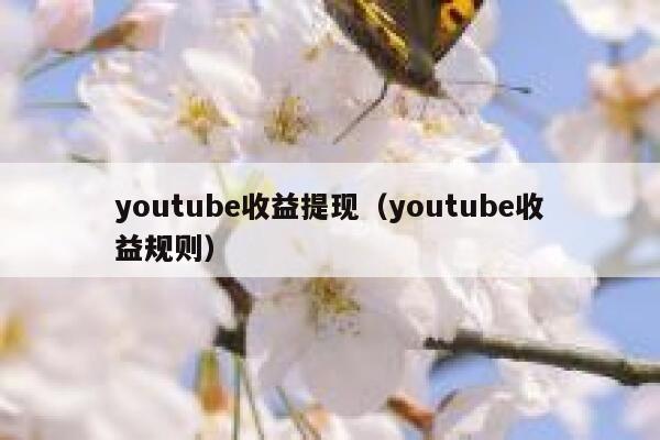 youtube收益提现（youtube收益规则） 第1张
