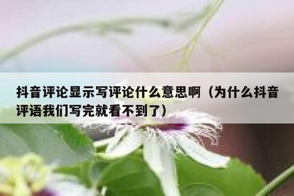 抖音评论显示写评论什么意思啊（为什么抖音评语我们写完就看不到了） 第1张
