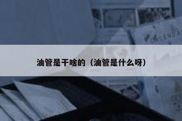 油管是干啥的(油管是什么呀) 第1张 油管是干啥的(油管是什么呀) 第1张