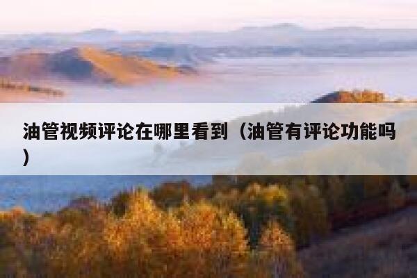油管视频评论在哪里看到（油管有评论功能吗） 第1张