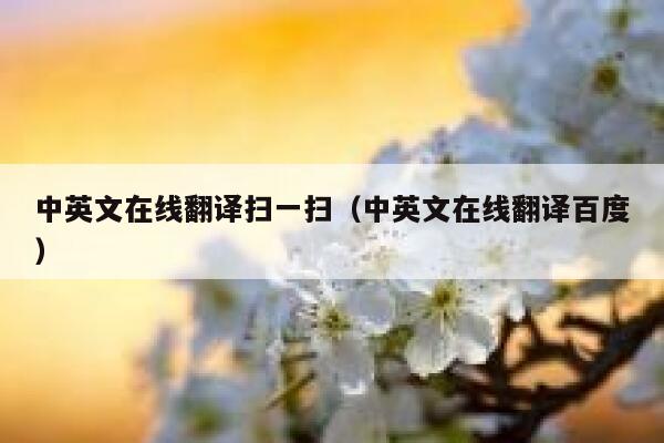 中英文在线翻译扫一扫（中英文在线翻译百度） 第1张