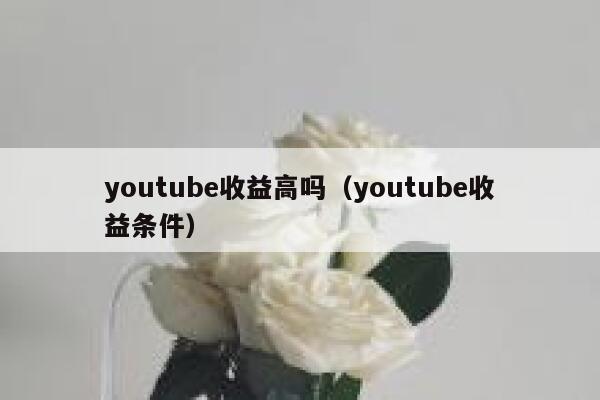 youtube收益高吗（youtube收益条件） 第1张