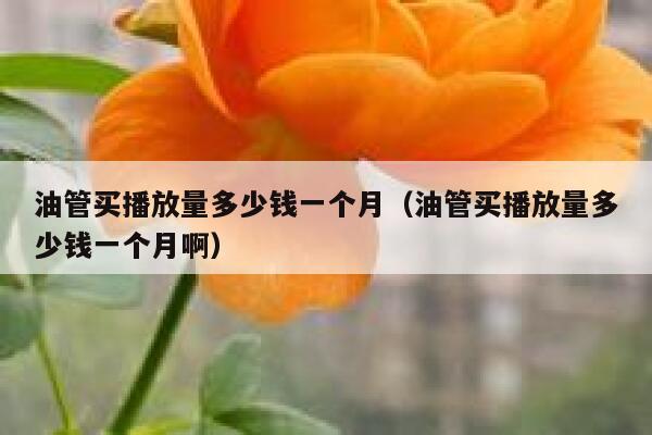 油管买播放量多少钱一个月（油管买播放量多少钱一个月啊） 第1张