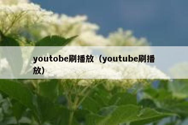 youtobe刷播放（youtube刷播放） 第1张