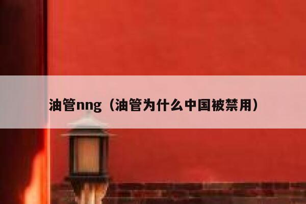 油管nng（油管为什么中国被禁用） 第1张
