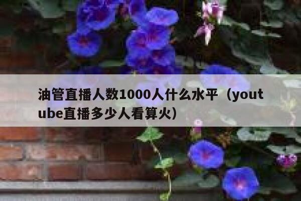 油管直播人数1000人什么水平（youtube直播多少人看算火） 第1张