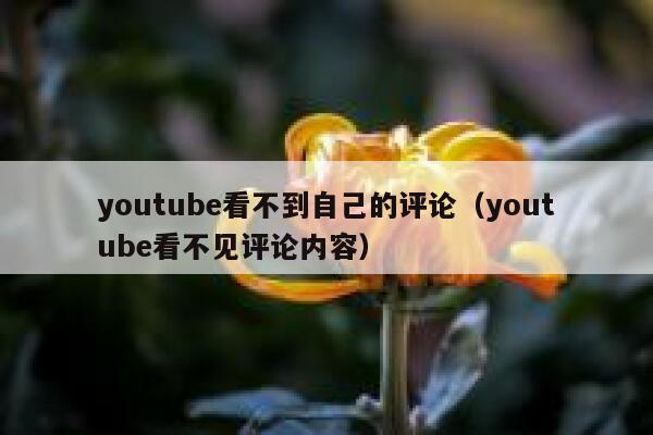 youtube看不到自己的评论(youtube看不见评论内容) 第1张 youtube看不到自己的评论(youtube看不见评论内容) 第1张