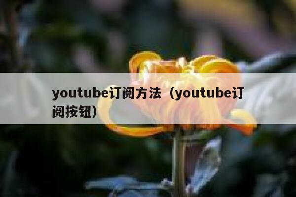 youtube订阅方法(youtube订阅按钮) 第1张 youtube订阅方法(youtube订阅按钮) 第1张