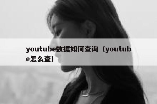 youtube数据如何查询（youtube怎么查） 第1张
