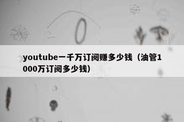 youtube一千万订阅赚多少钱（油管1000万订阅多少钱） 第1张