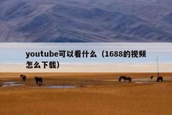 youtube可以看什么（1688的视频怎么下载） 第1张