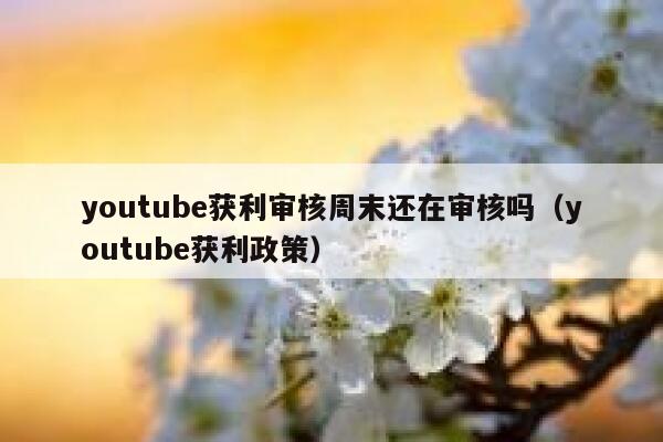 youtube获利审核周末还在审核吗（youtube获利政策） 第1张