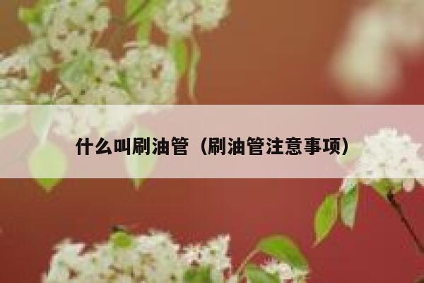 什么叫刷油管(刷油管注意事项) 第1张 什么叫刷油管(刷油管注意事项) 第1张