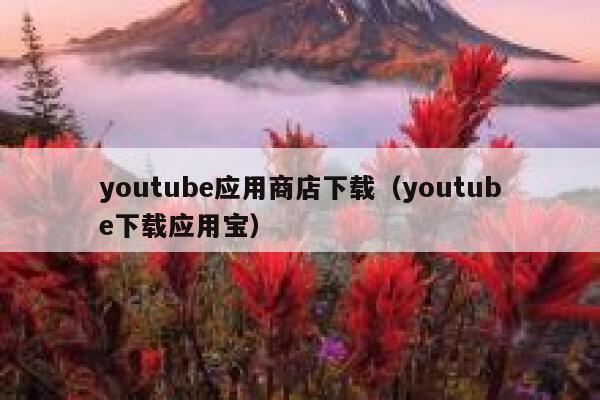 youtube应用商店下载（youtube下载应用宝） 第1张