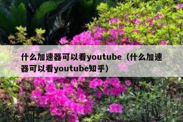 什么加速器可以看youtube(什么加速器可以看youtube知乎) 第1张 什么加速器可以看youtube(什么加速器可以看youtube知乎) 第1张