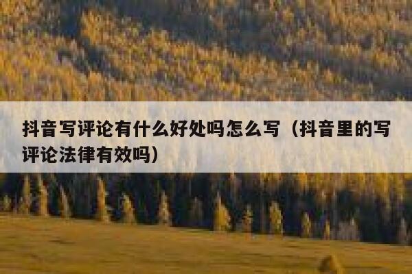 抖音写评论有什么好处吗怎么写（抖音里的写评论法律有效吗） 第1张