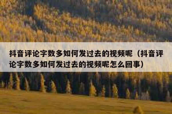 抖音评论字数多如何发过去的视频呢（抖音评论字数多如何发过去的视频呢怎么回事） 第1张