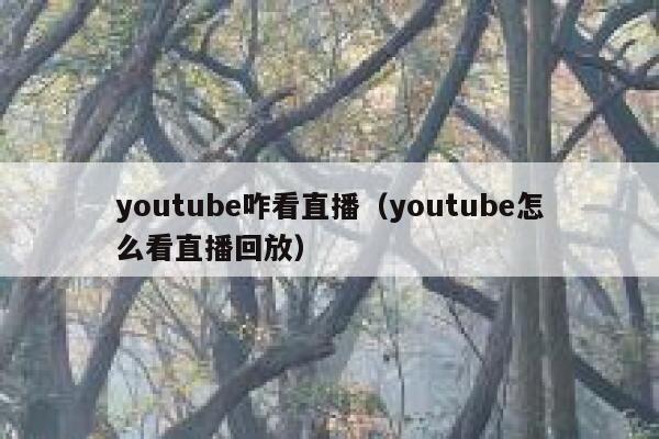 youtube咋看直播（youtube怎么看直播回放） 第1张