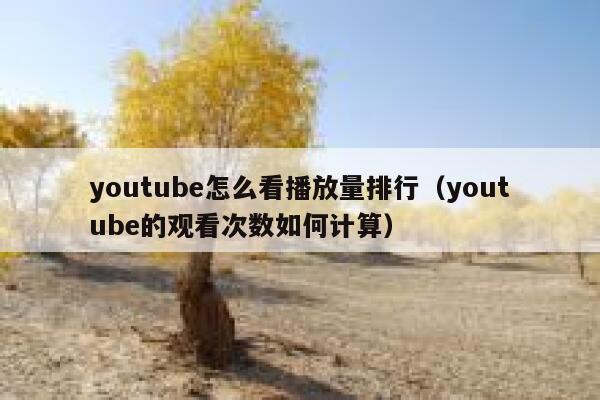 youtube怎么看播放量排行(youtube的观看次数如何计算) 第1张 youtube怎么看播放量排行(youtube的观看次数如何计算) 第1张