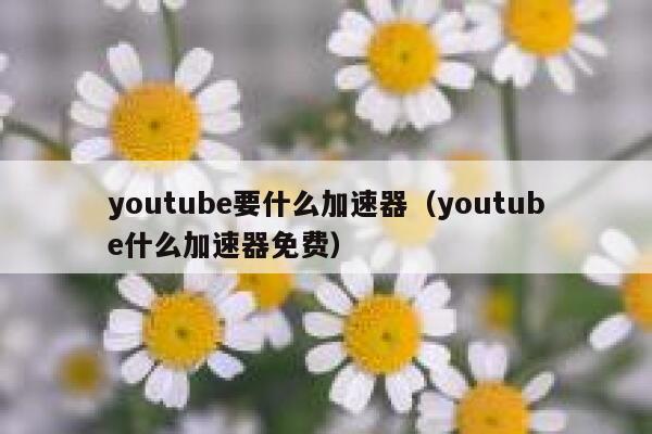 youtube要什么加速器（youtube什么加速器免费） 第1张
