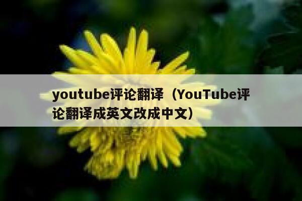 youtube评论翻译（YouTube评论翻译成英文改成中文） 第1张