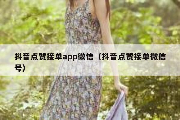 抖音点赞接单app微信（抖音点赞接单微信号） 第1张