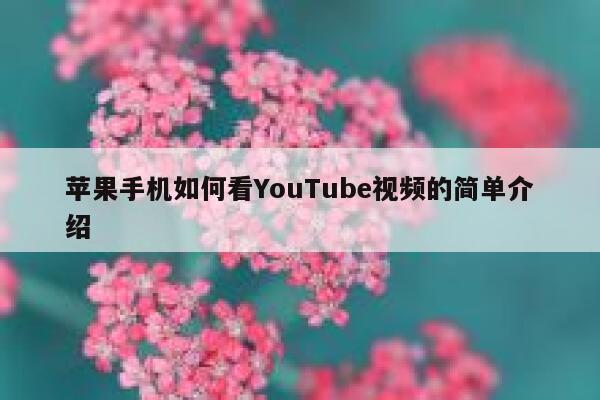 苹果手机如何看YouTube视频的简单介绍 第1张