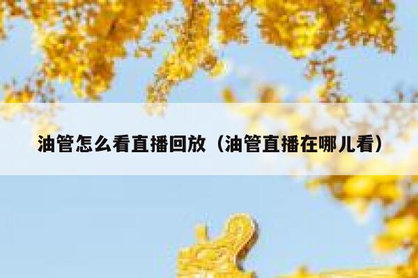 油管怎么看直播回放（油管直播在哪儿看） 第1张
