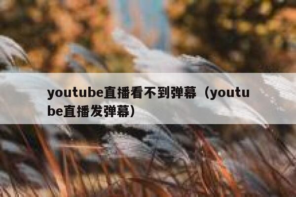 youtube直播看不到弹幕（youtube直播发弹幕） 第1张
