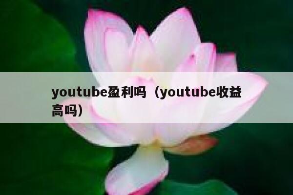 youtube盈利吗（youtube收益高吗） 第1张