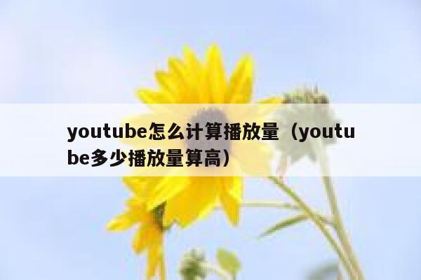 youtube怎么计算播放量（youtube多少播放量算高） 第1张