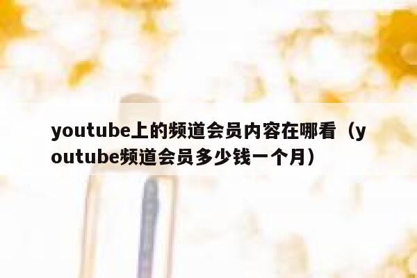 youtube上的频道会员内容在哪看（youtube频道会员多少钱一个月） 第1张