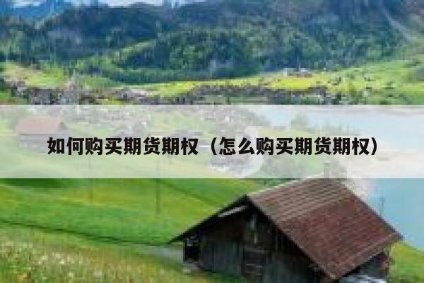 如何购买期货期权（怎么购买期货期权） 第1张