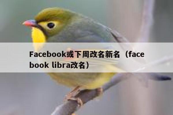 Facebook或下周改名新名（facebook libra改名） 第1张