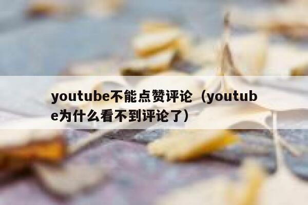 youtube不能点赞评论（youtube为什么看不到评论了） 第1张