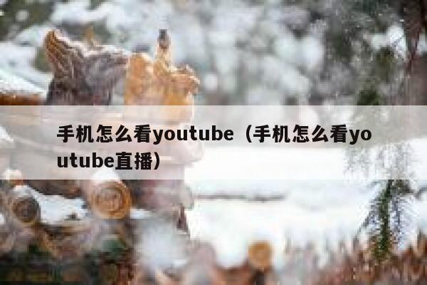 手机怎么看youtube（手机怎么看youtube直播） 第1张