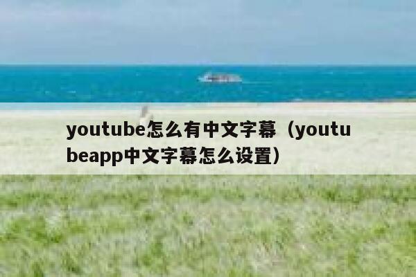 youtube怎么有中文字幕（youtubeapp中文字幕怎么设置） 第1张