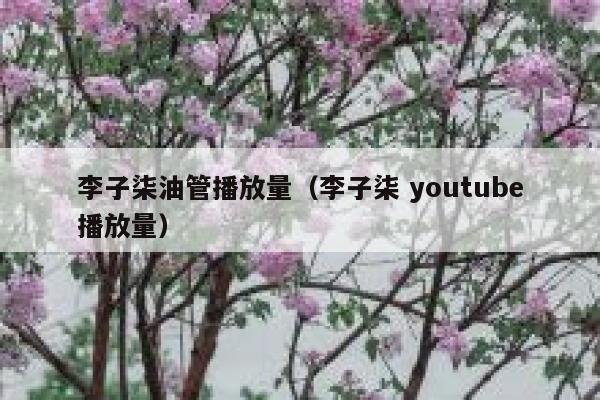 李子柒油管播放量（李子柒 youtube播放量） 第1张