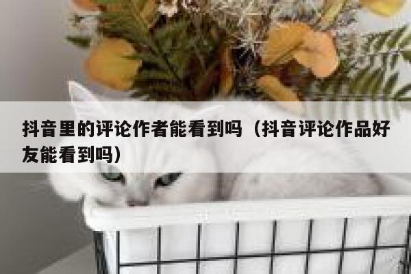 抖音里的评论作者能看到吗（抖音评论作品好友能看到吗） 第1张