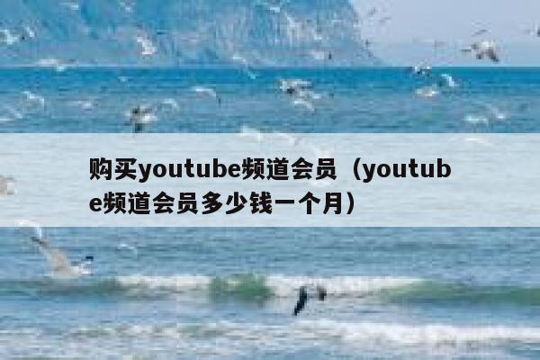 购买youtube频道会员（youtube频道会员多少钱一个月） 第1张