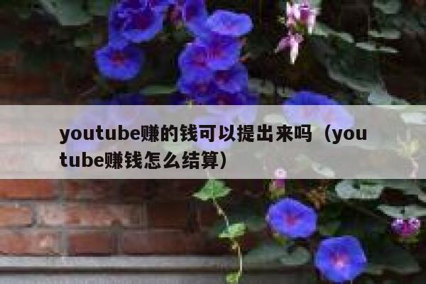 youtube赚的钱可以提出来吗（youtube赚钱怎么结算） 第1张