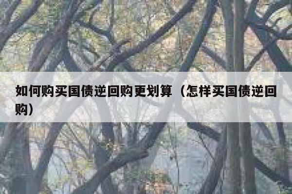 如何购买国债逆回购更划算（怎样买国债逆回购） 第1张