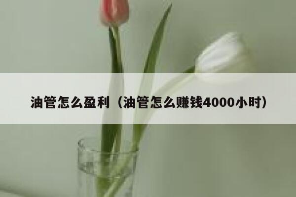 油管怎么盈利（油管怎么赚钱4000小时） 第1张