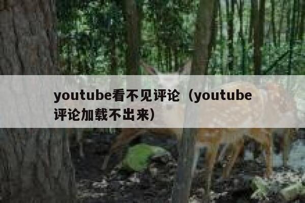 youtube看不见评论（youtube评论加载不出来） 第1张