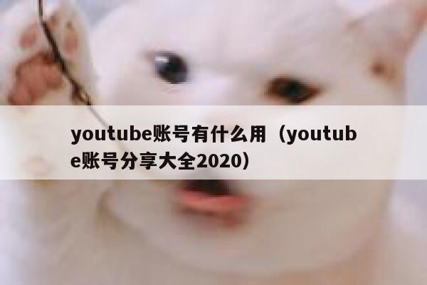 youtube账号有什么用（youtube账号分享大全2020） 第1张